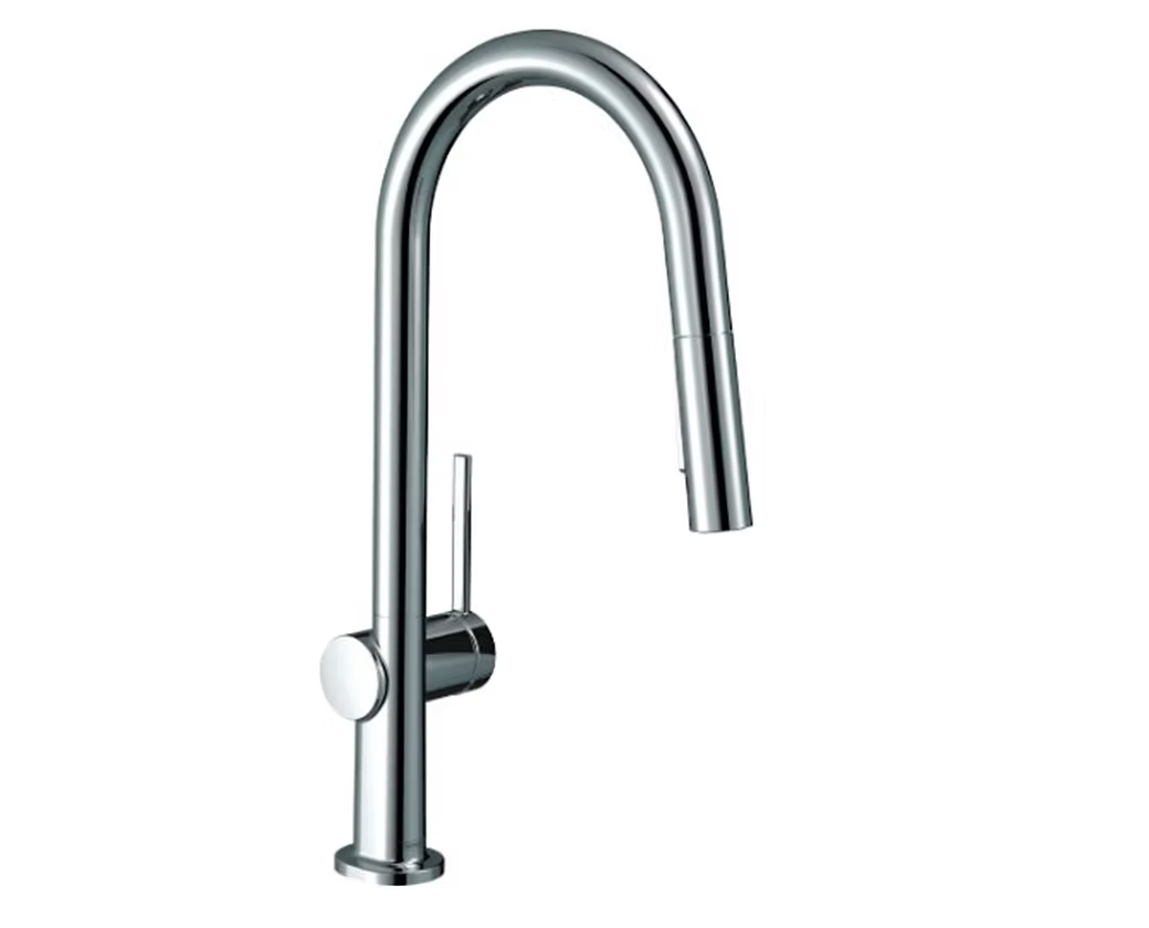 HANSGROHE Talis N A-Style Kitchen Faucet