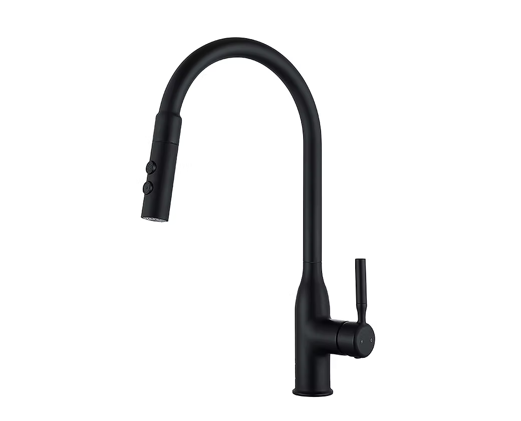 GOODE & ABEL Aaron Pull Down Kitchen Faucet