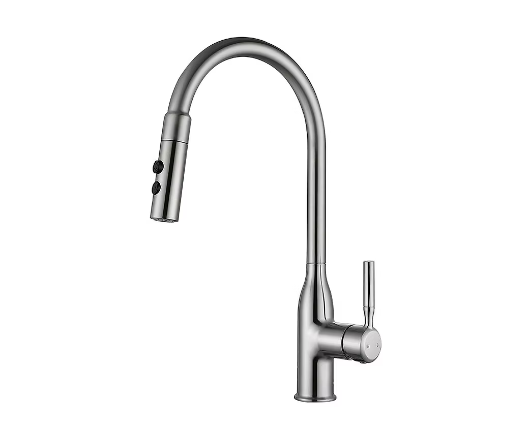 GOODE & ABEL Aaron Pull Down Kitchen Faucet