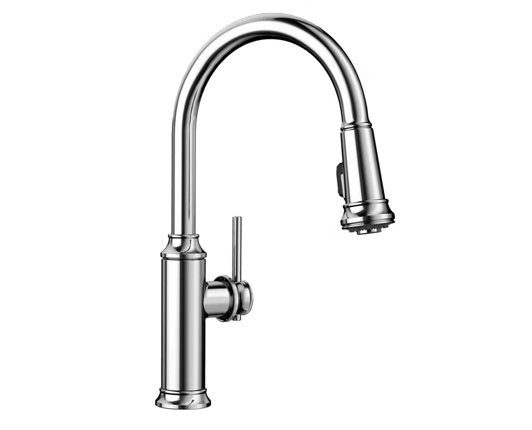 BLANCO Empressa Kitchen Faucet