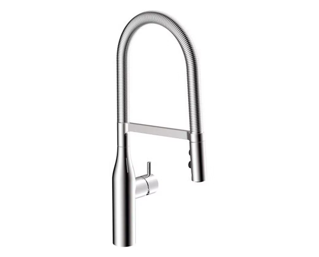 PROHS Iris Kitchen Faucet