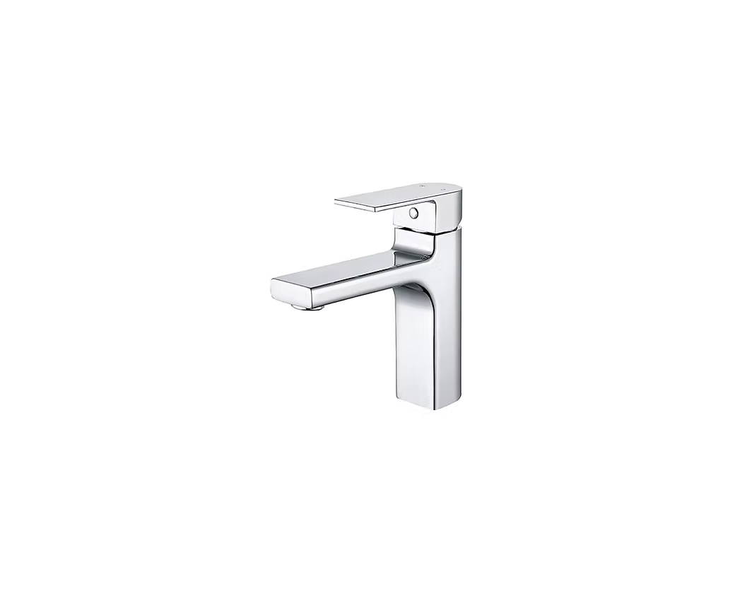 GOODE & ABEL Asher Single Handle Bathroom Faucet